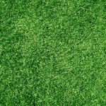Les avantages écologiques du gazon synthétique