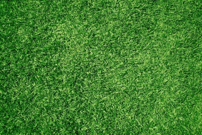 Les avantages écologiques du gazon synthétique