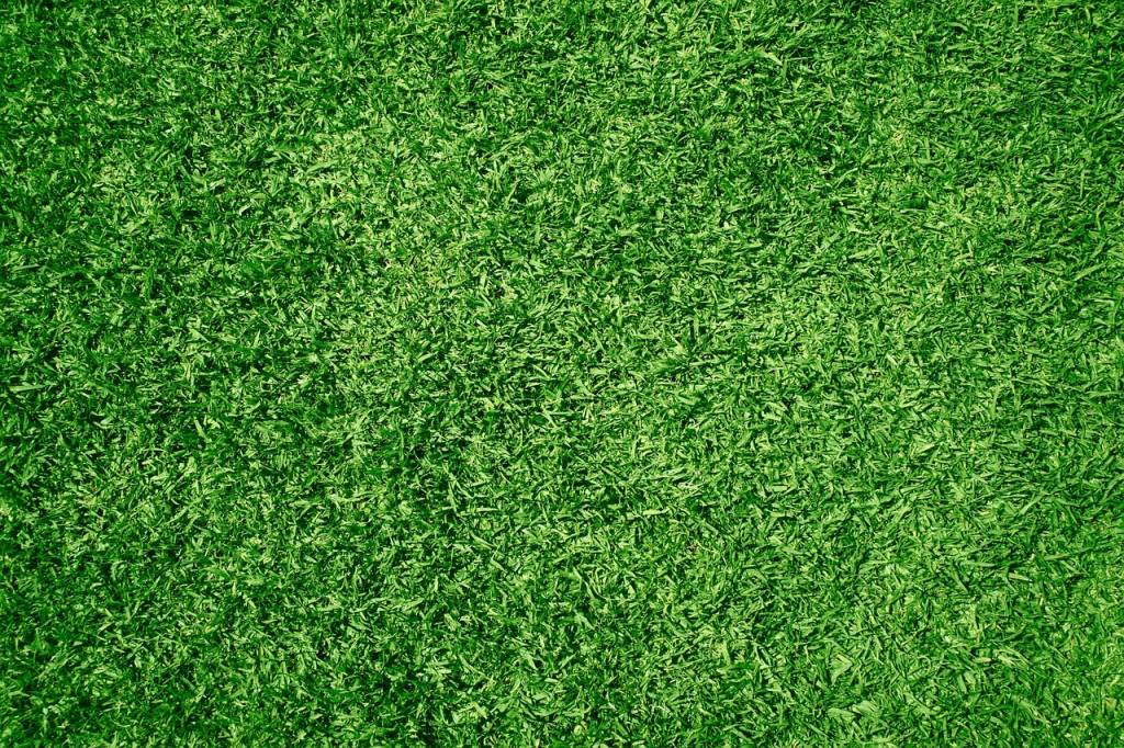 Les avantages écologiques du gazon synthétique