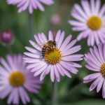 Fleurs qui attirent les abeilles : variétés à privilégier au jardin