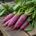 Betteraves crapaudine : comment les cultiver et les cuisiner