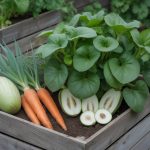Courge musquée verte : culture, entretien et récolte au potager