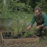 Tout savoir sur Philip Forrer et sa méthode de jardinage en milieu forestier